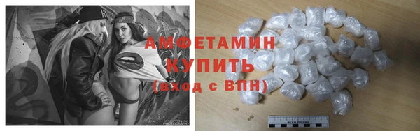 гидра Богданович