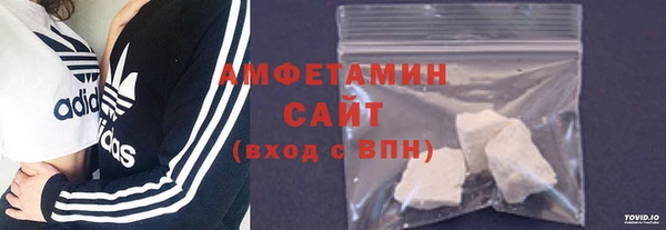 гидра Богданович