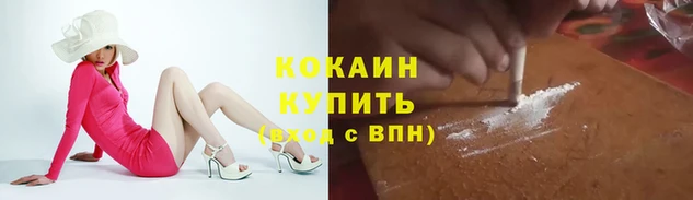 гидра Богданович
