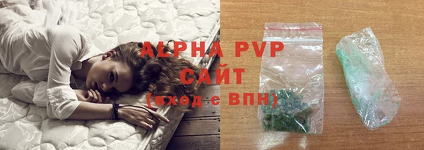 гидра Богданович