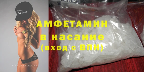 гидра Богданович