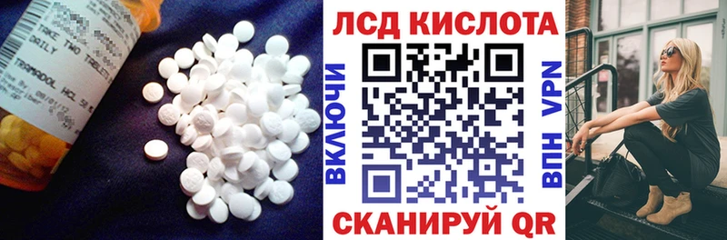купить  сайты  Богучар  mega ССЫЛКА  Лсд 25 экстази кислота 
