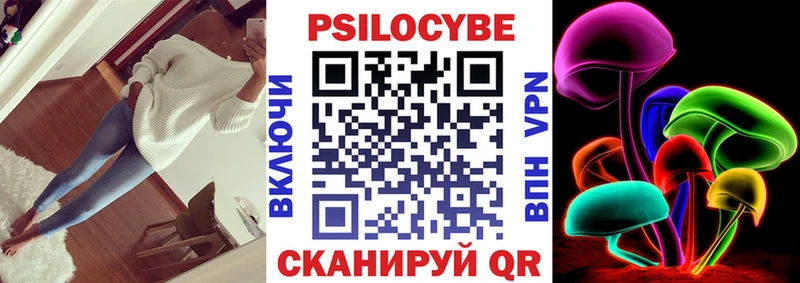Галлюциногенные грибы Psilocybe Богучар